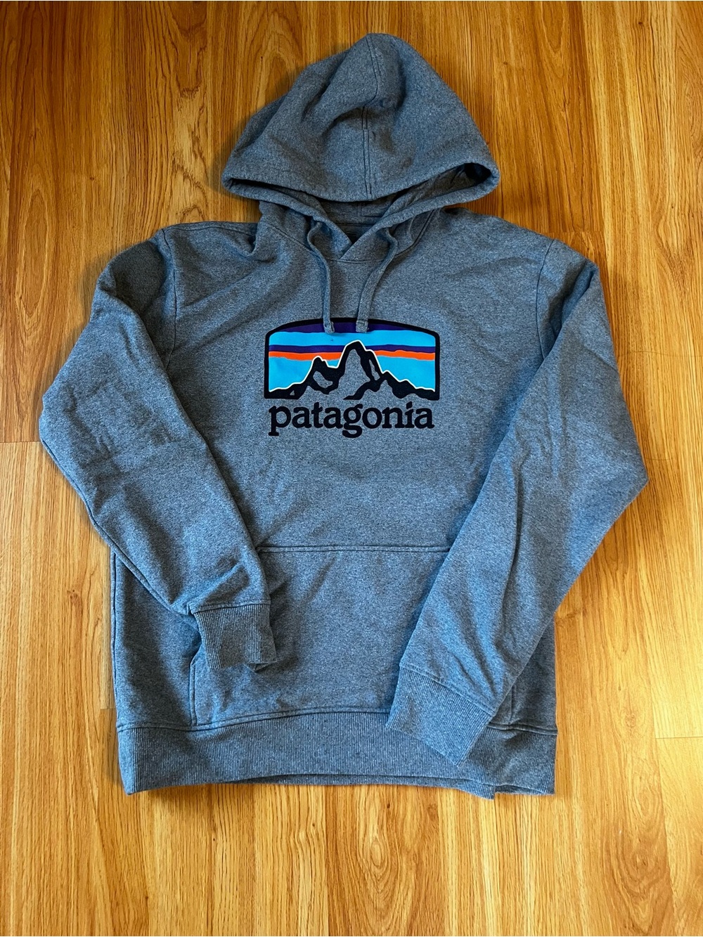 Patagonia Heather Grey Pullover Hoodie